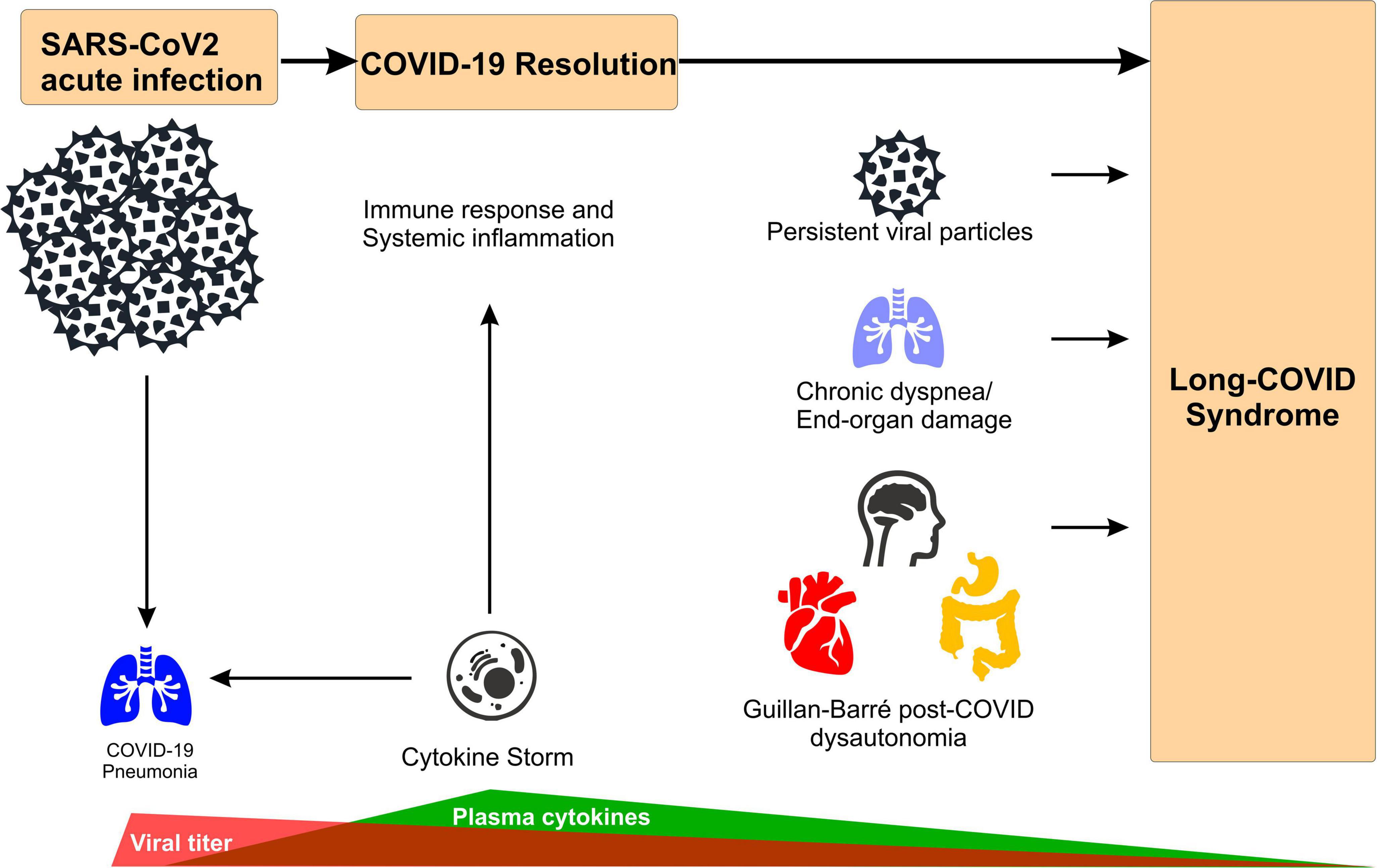 Cardiovascular and autonomic dysfunction in long-COVID syndrome and the potential role of non-invasive therapeutic strategies on cardiovascular outcomes